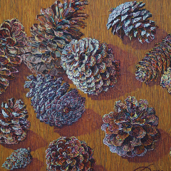 Symphony 2013 / 50x60 / Oil