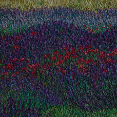 Lavender fields 2017 / 30x40 / Oil, canvas