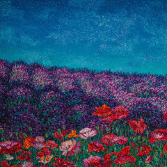 Poppy, lavender and blue 2017/ 50x60 /Oil, canvas