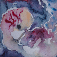 Fetus I, II, III / 3x 15x20 / Watercolor