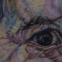 Sophia observes 2014/ 20x14/ Oil pastels