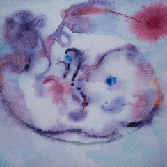 Fetus IV/ 16x12.5 / Watercolor